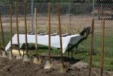 The shovels lie in wait for the ceremonial digging to begin.